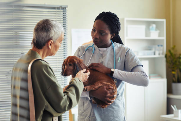 Small and Large Animal Surgery