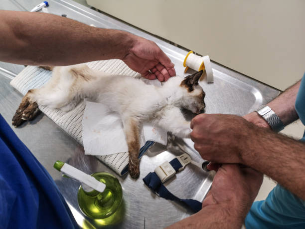 Emergency and Urgent Care