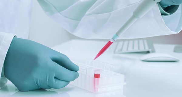 Stem Cell Testing