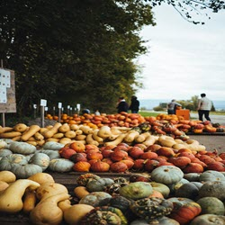 Fresh Produce