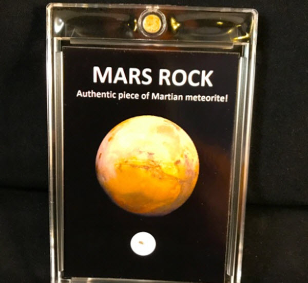 Martian Meteorites