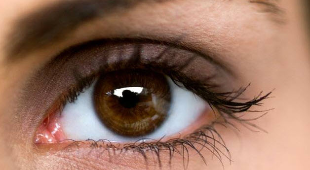 Contact Lenses