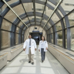Custom Health Education Program