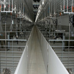 FOOD SAFETY ASSURANCE