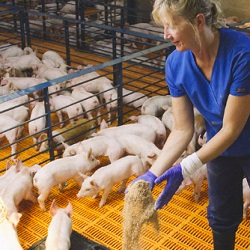 CHRISTENSEN FARMS PRODUCER BENEFITS
