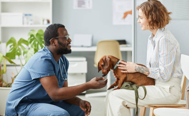 Pet Care Service
