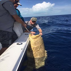 Fishing Reports