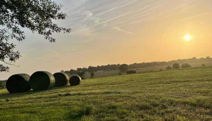 Agricultural Loans
