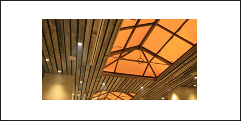 Acoustical and Specialty Ceilings