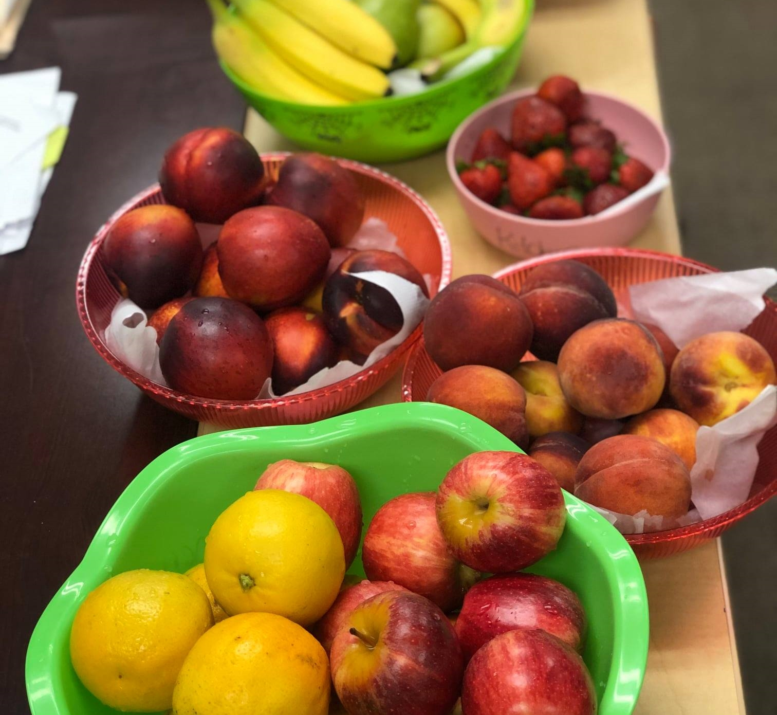 Food and Nutritional Services