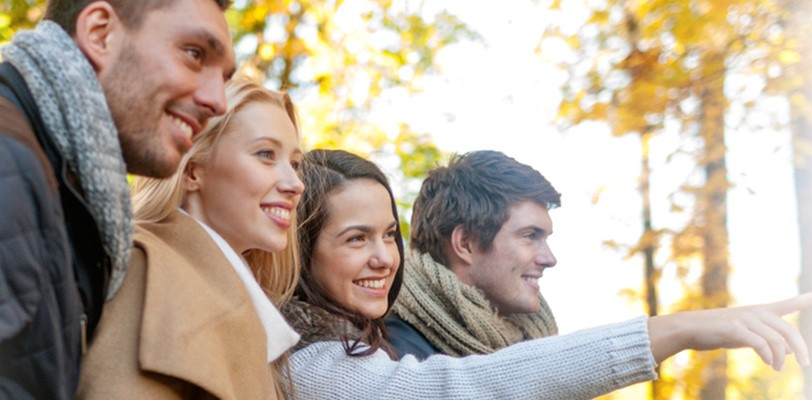 Consumer Loans