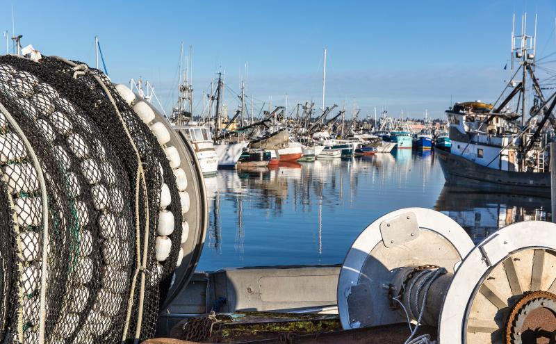 Fisherman's Terminal