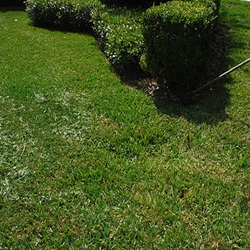 Large Property Landscaping