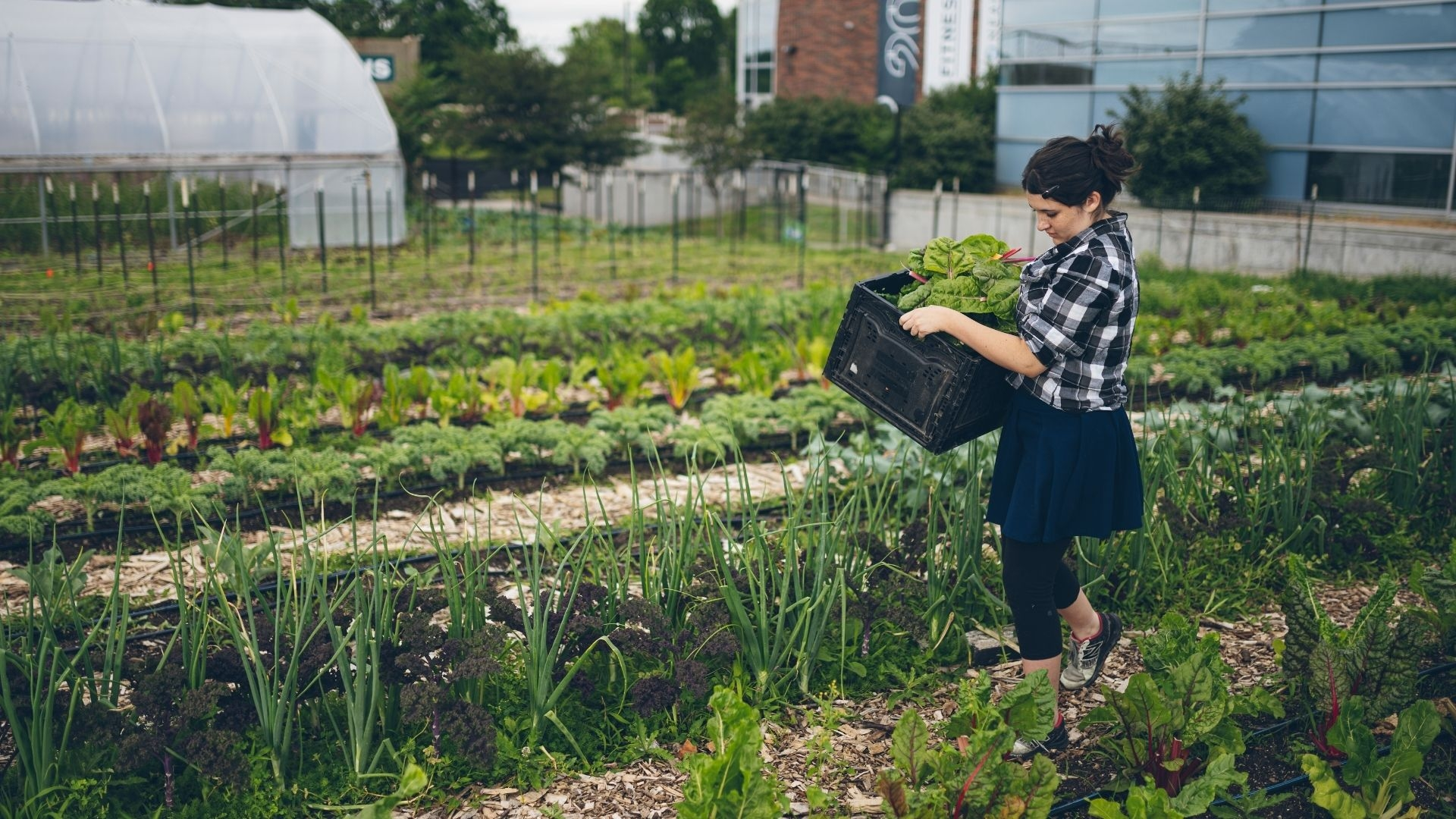 Diversified Farming and Food Systems