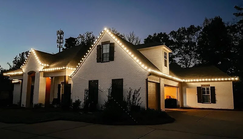 Holiday Lights