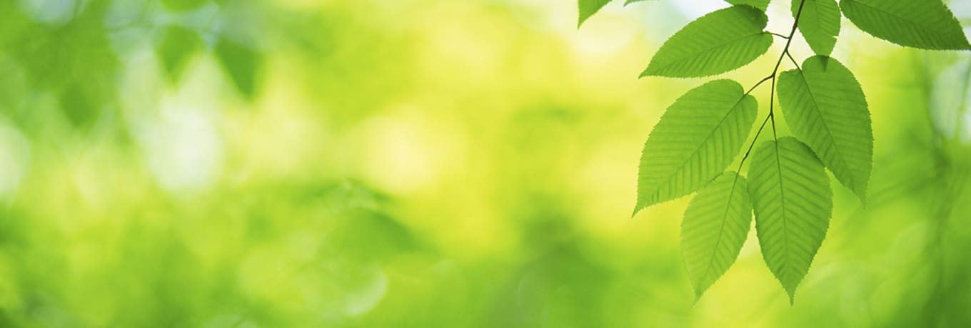 Renewable Energy Programs