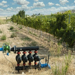 IMU WATER SERVICE PLAN