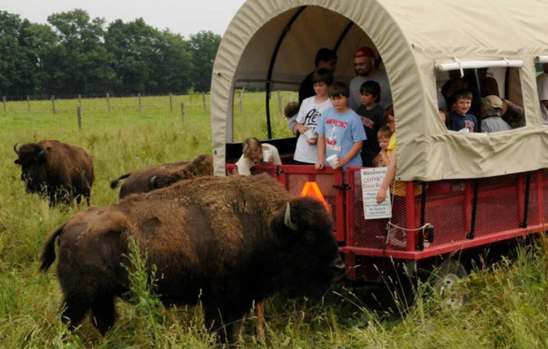 Ranch Tours