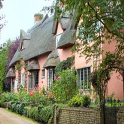 House for Rents