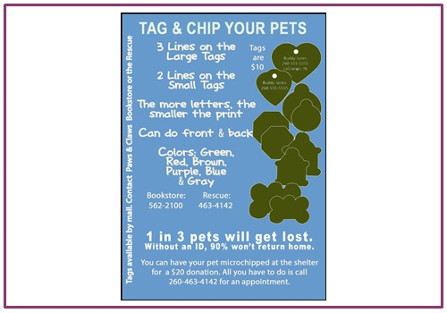 Pet Tags and Microchipping