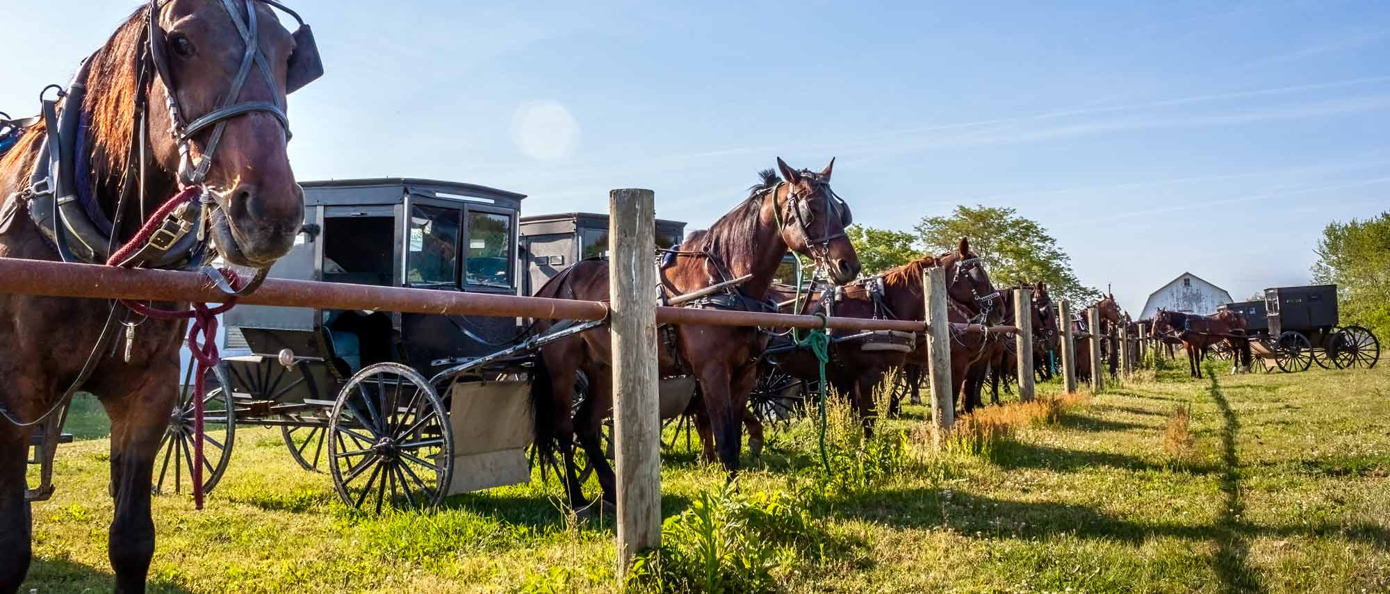 Amish Culture