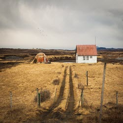 Property Insurance