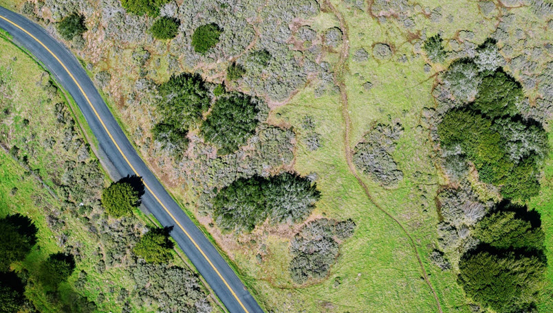 Land