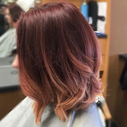 Adult Cuts & Shampoo