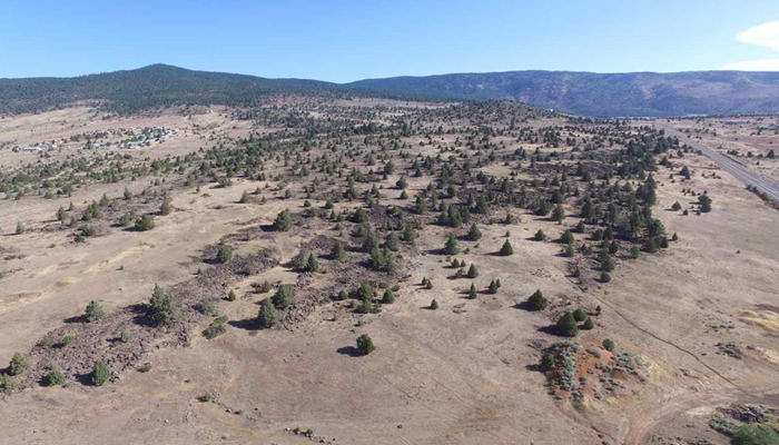 Lots & Land