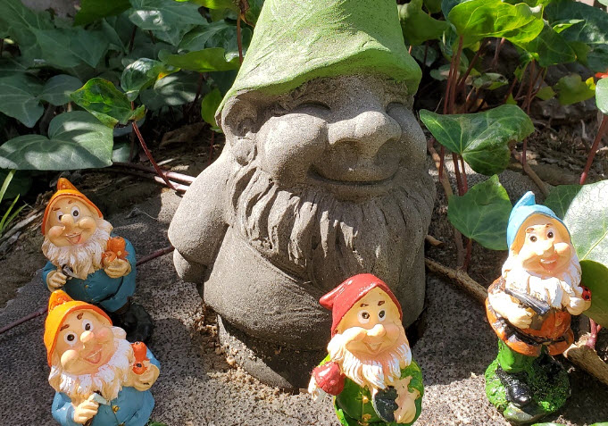 Gnome Hunt