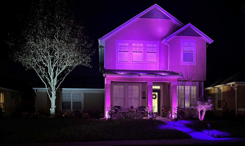 Landscape Lighting