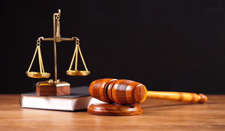 Litigation Services