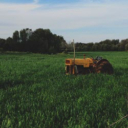 Farm & Agriculture Insurance