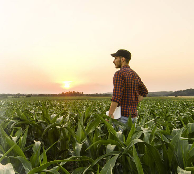Farm & Crop Insurance