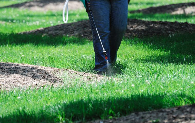 Lawn Care Service 