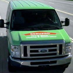 Mold Remediation