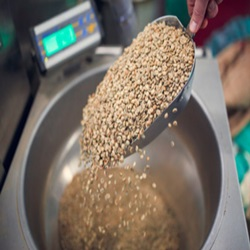 Flavor Formulation