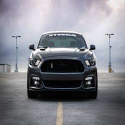 Auto loan