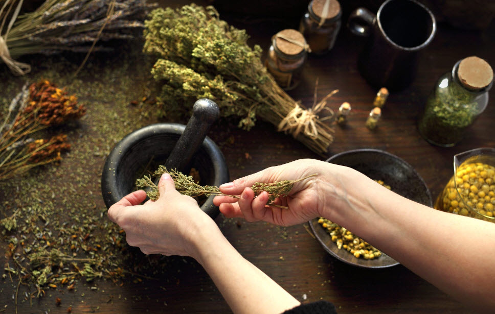 Herbal Consultation