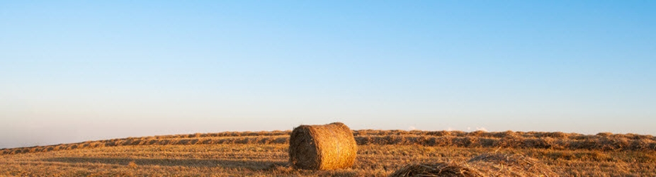 Agricultural Loans