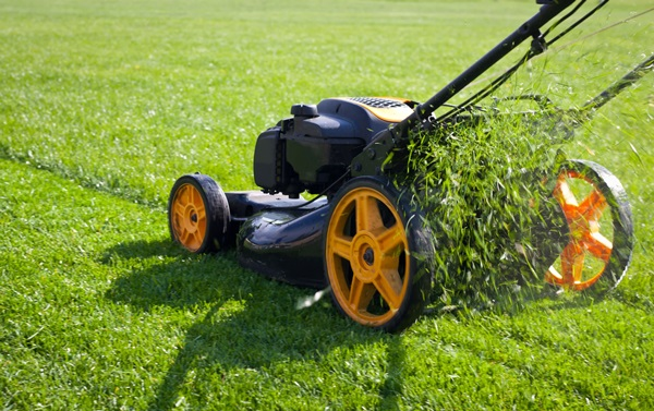 Grass Cutting