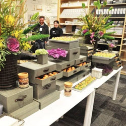 Corporate & Medical Catering