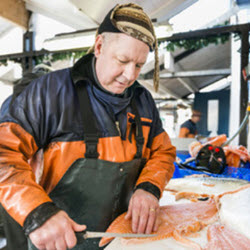 Fish Cleaning