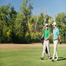 Memberships