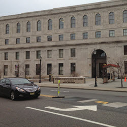 Government / Institutional