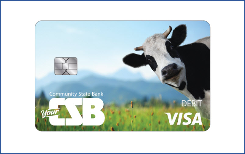 Visa Debit Cards