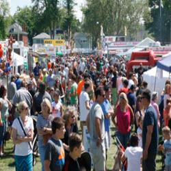Walleye Festival