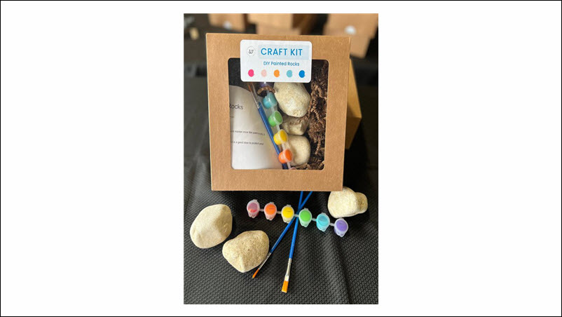 DIY Painted Rocks Craft Kit 