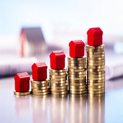 Investment services
