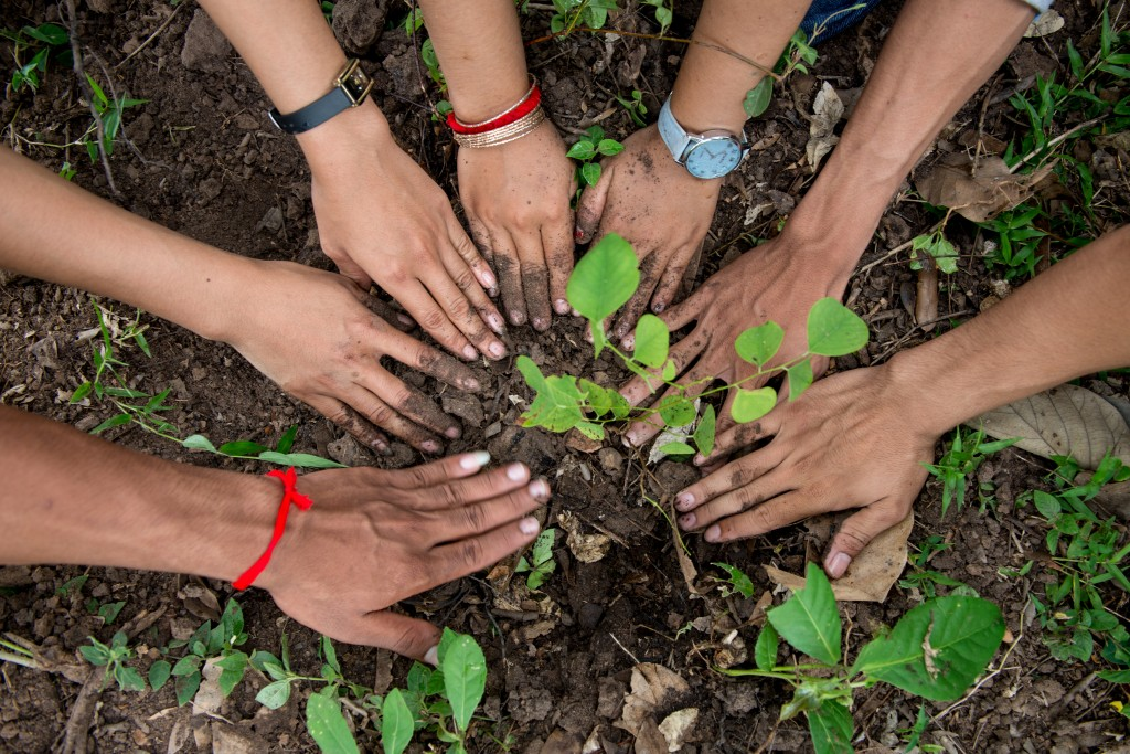 Environmental Education